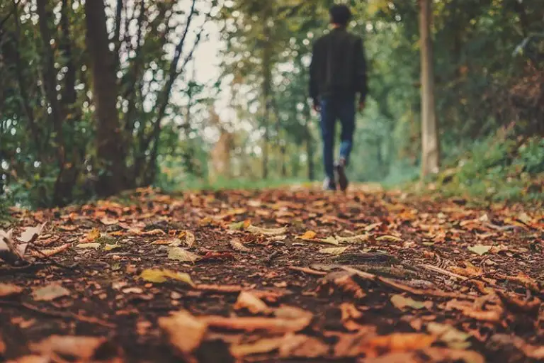 Free Will and the Science of Addiction