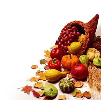 Happy Thanksgiving from Renaissance Ranch