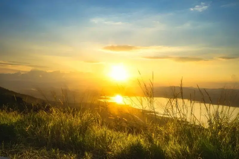 Healing Through Hope