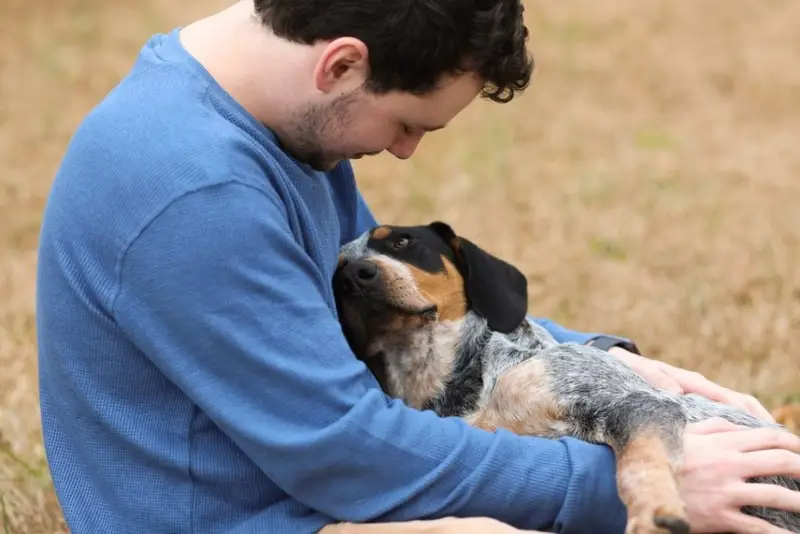 How Can My Pet Help My Recovery?