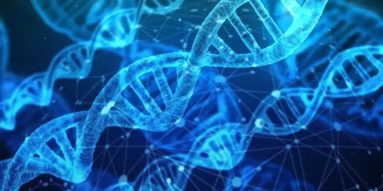 How Genes Affect Addiction: What We Know and What We Don't