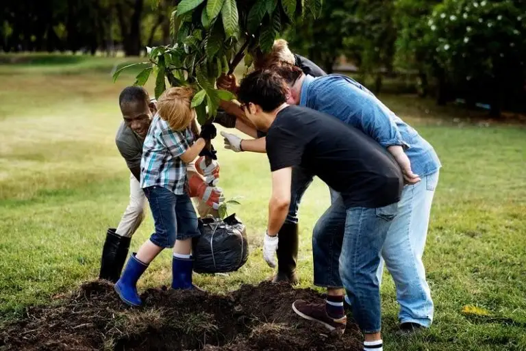 How to Spread Kindness