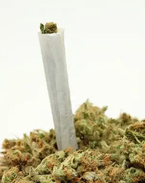 Marijuana: An Overview