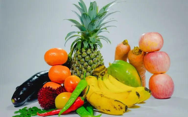 Nutrition in Recovery