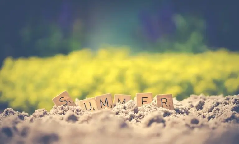 Sweet Summertime Sobriety: 5 Ways to Stay Cool When Cravings Heat Up
