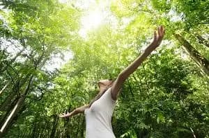 The Healing Power of Nature