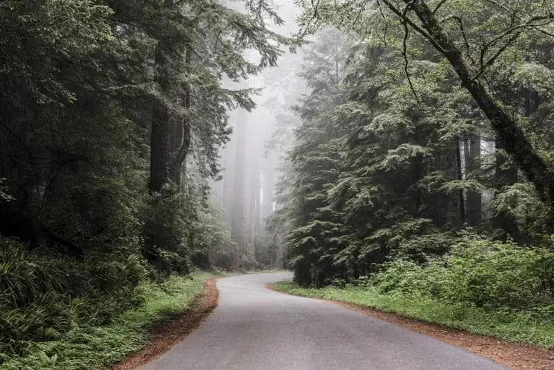 The Unexpected Benefits of Nature